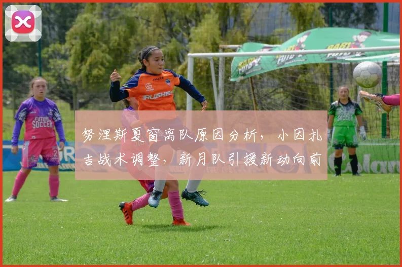 努涅斯夏窗离队原因分析，小因扎吉战术调整，新月队引援新动向前瞻