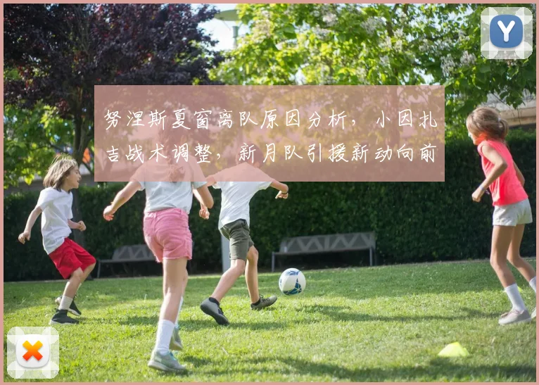 努涅斯夏窗离队原因分析，小因扎吉战术调整，新月队引援新动向前瞻